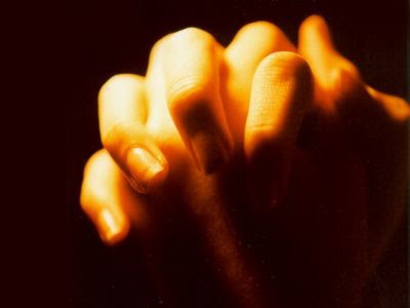 Cầu nguyện trong ngày: 03.08.2012