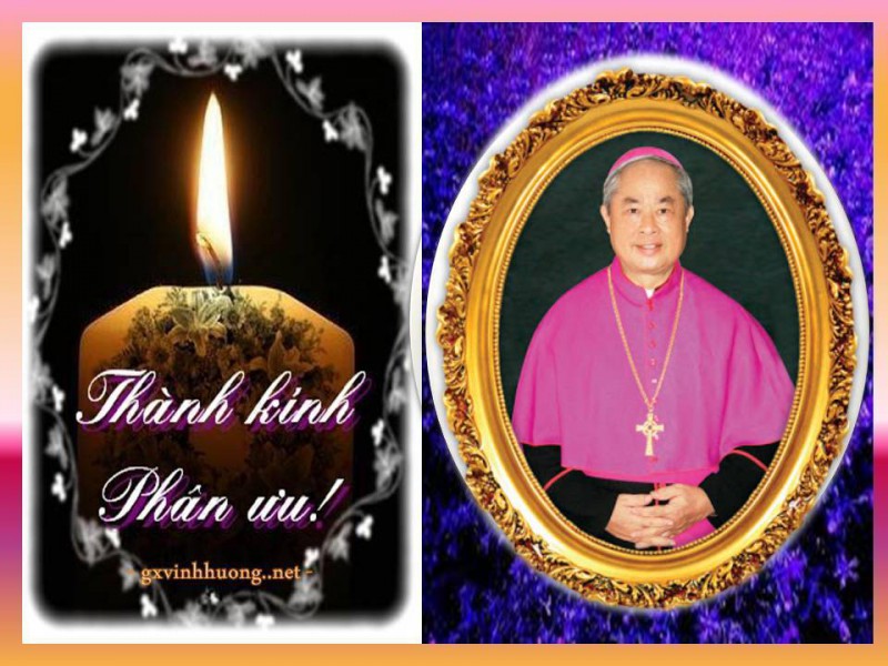 Ngày 17.8.2013 - Hai Đức Giám mục qua đời