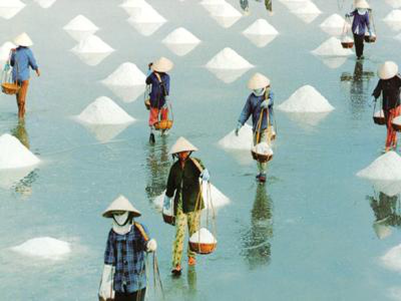 Thơ: Hạt cát trở mình