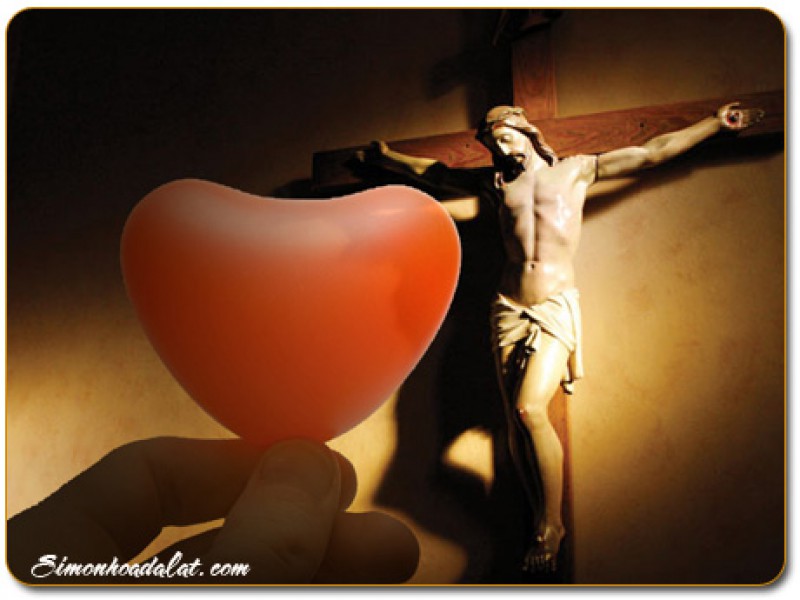 Vui với người vui - Audio