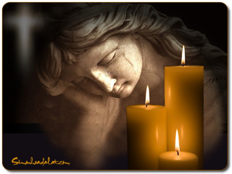 Bóng câu qua cửa sổ - Audio