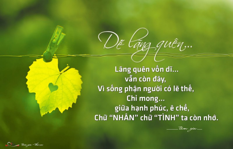 Dễ Lãng Quên…