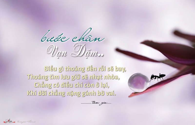 Bước chân vạn dặm