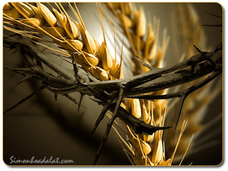 Trao ban là nhận lãnh