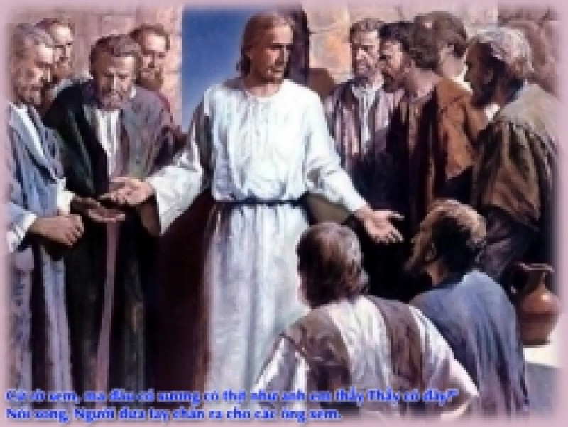 Sứ mạng chứng nhân (Lc 24,48)