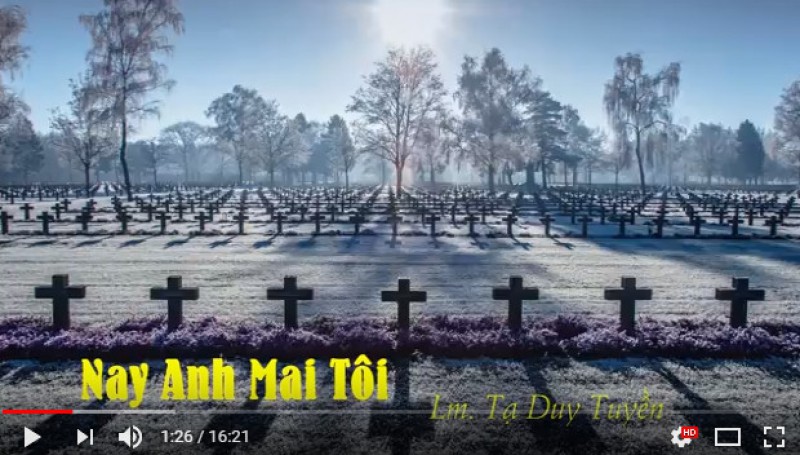 Nay anh mai tôi