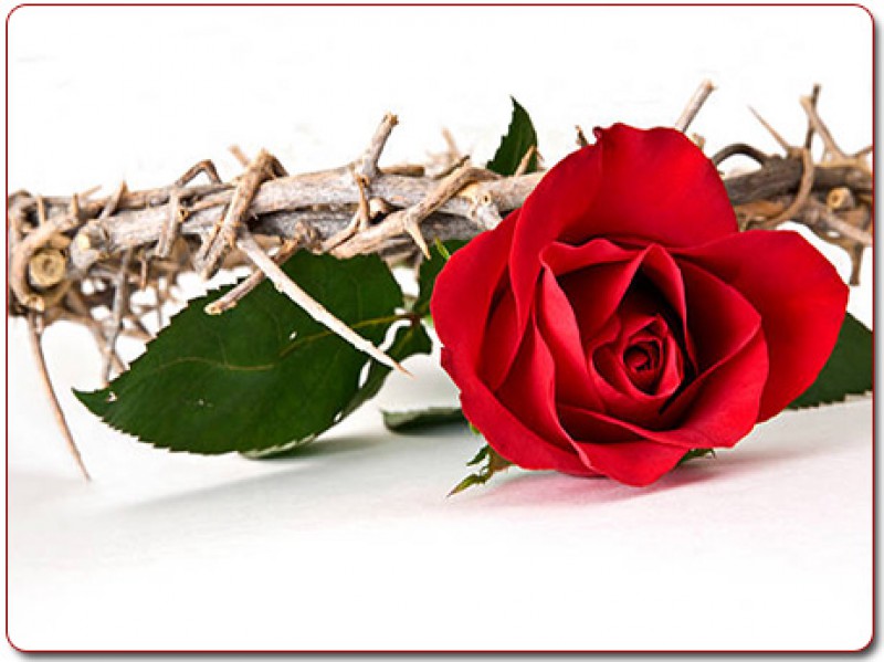 Gioan Tẩy Giả làm chứng