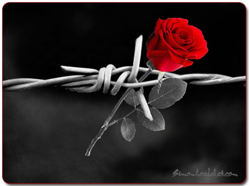 Yêu thương cả kẻ thù - Audio