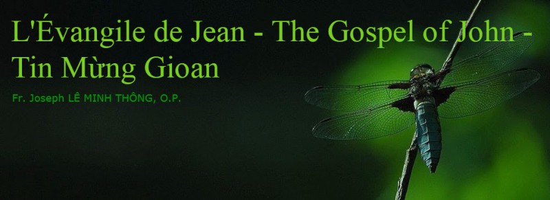 Giới thiệu sách: Nghe và thấy trong Tin Mừng Gio-an của Cha Giuse Lê Minh Thông