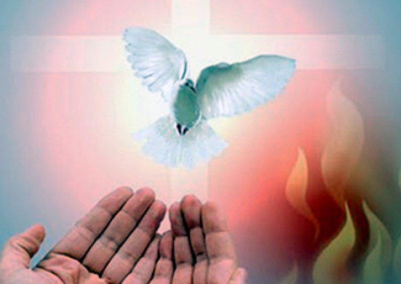 Dẫu không hẹn nhưng xin Ngài cứ đến!