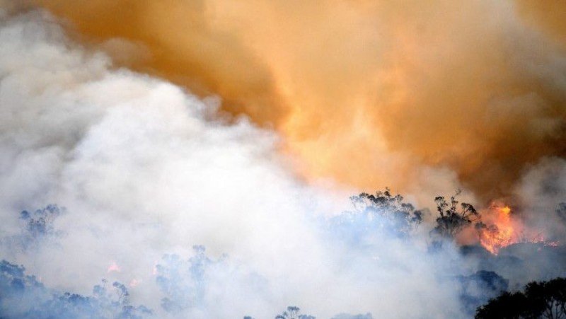 Các giám mục Úc kêu gọi hành động để bảo vệ trái đất và người nghèo