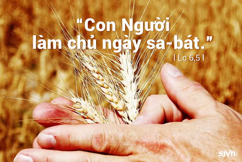 Thứ Bảy tuần XXII Mùa Thường Niên B