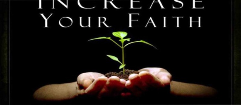 Thứ hai, sau Chúa nhật XXXII Thường niên B