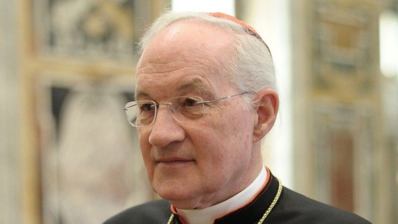 Đức Hồng Y Ouellet kiện người cáo buộc ngài tấn công tình dục
