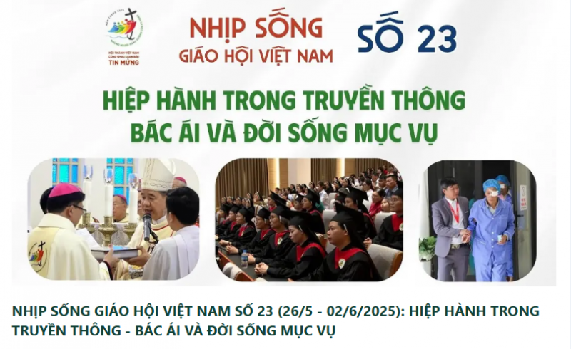 Nhịp sống Giáo hội Việt Nam -Số 23