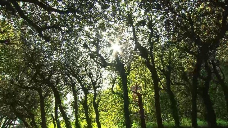 Borgo Laudato si’