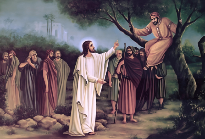 02/11/2025 – Chúa nhật 31 Thường niên năm C