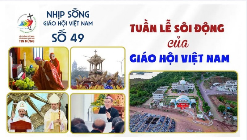 Nhịp sống Giáo hội Việt Nam - Số 49
