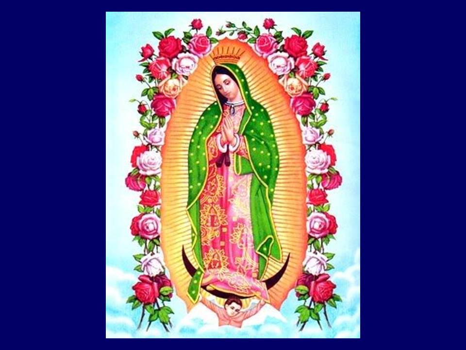 Đức Mẹ Guadalupe