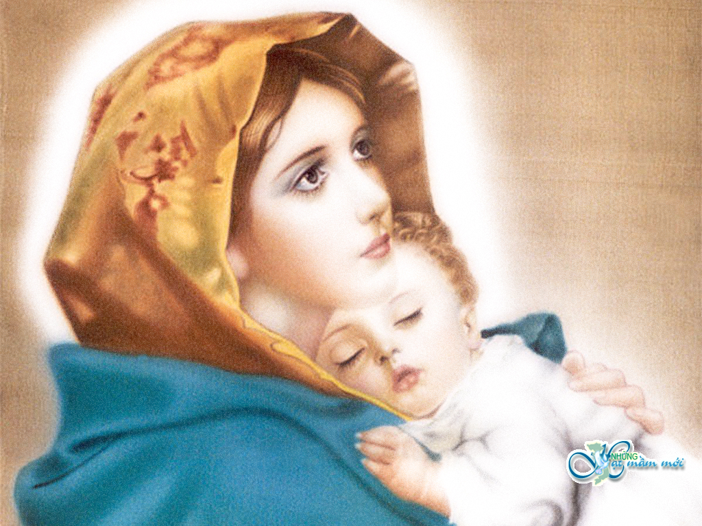 Suy niệm về Lễ Đức Mẹ Maria Vô Nhiễm Nguyên Tội.