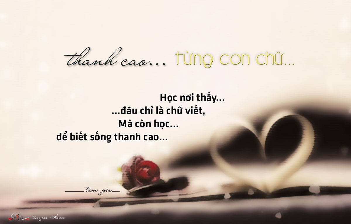 Thanh Cao Từng Con Chữ…