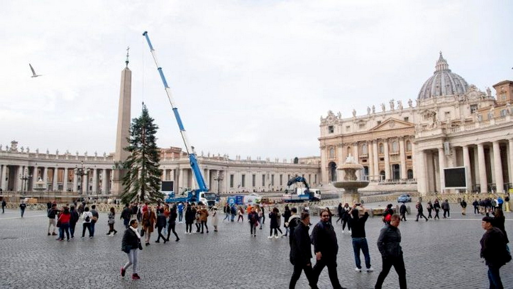 Lắp đặt cây Noël tại Quảng trường Thánh Phêrô, ngày 17 tháng 11 năm 2022
