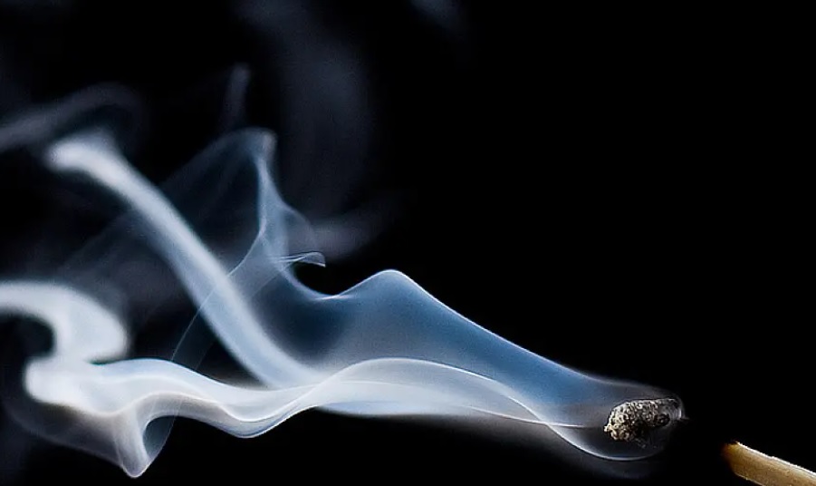 30/11/2025 - Chúa nhật I mùa Vọng năm A