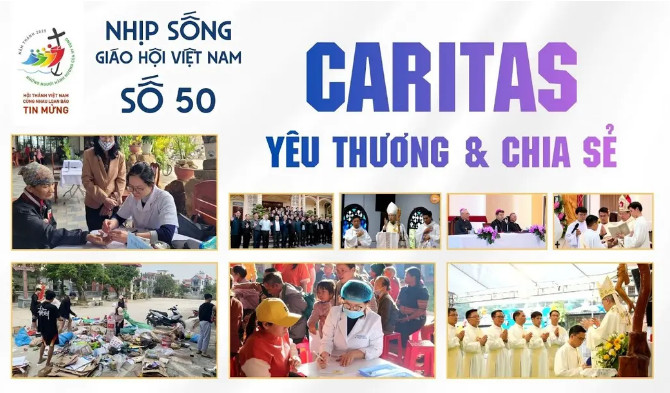 Nhịp sống Giáo hội Việt Nam - Số 50