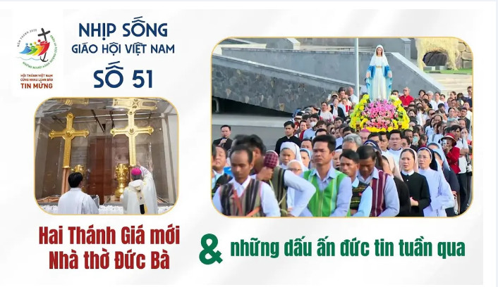 Nhịp sống Giáo hội Việt Nam - Số 51