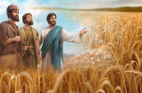 30/01/2026 - Thứ Sáu tuần 3 Thường niên