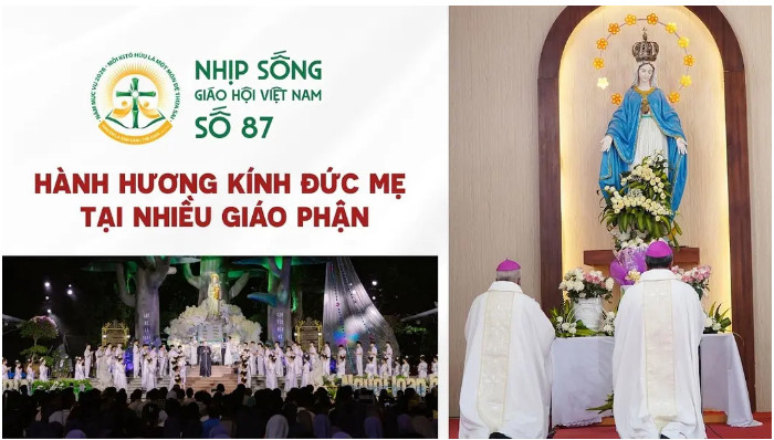 Nhịp sống Giáo hội Việt Nam - Số 87