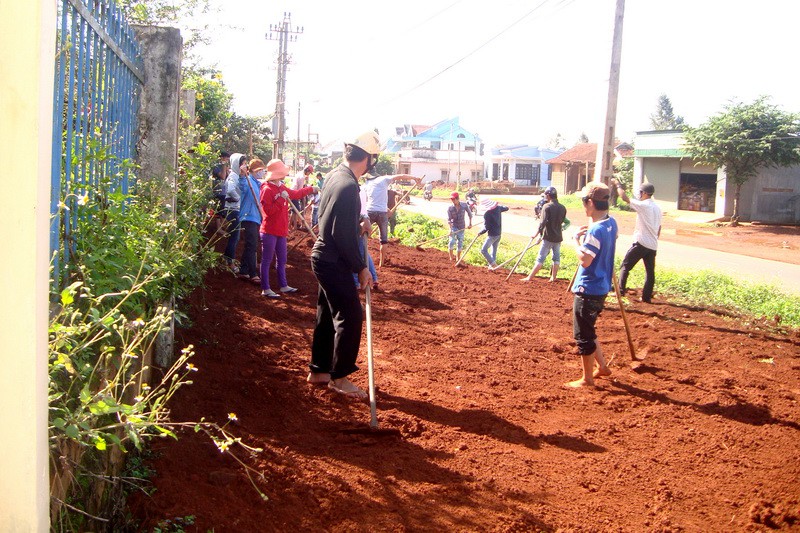 Tin ảnh thanh niên giáo xứ làm công tác