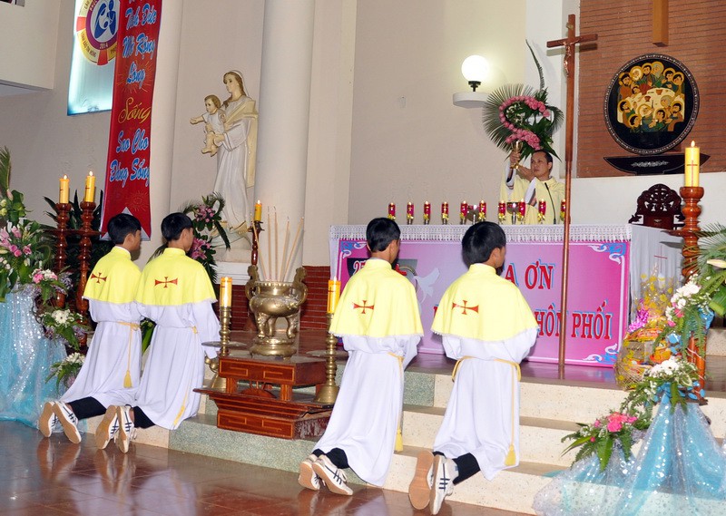 Vinh Hương - Hình ảnh Thánh Lễ Mừng Ngân Khánh Hôn Phối 2014