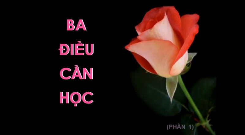 Clips: Ba điều cần học 3/3: Cám ơn