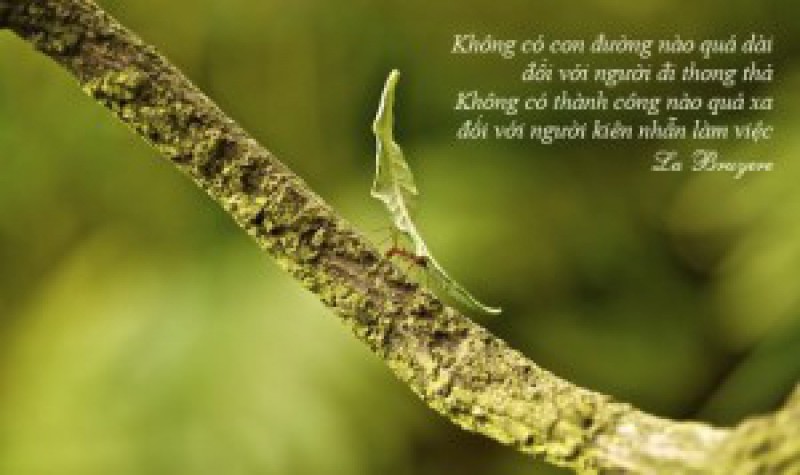Từng chút một thôi…