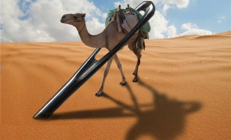 Có hai cách để lạc đà chui qua lỗ kim