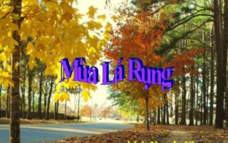 Mùa lá rụng