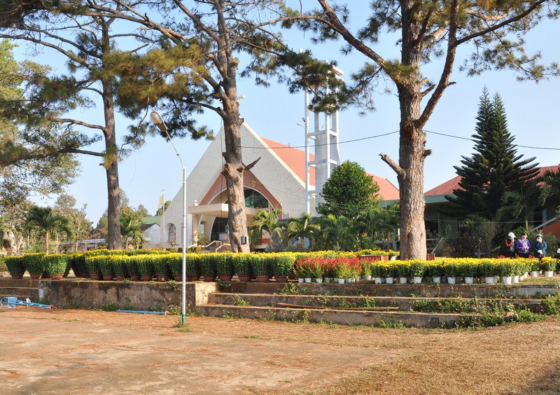 Hoa Xuân Vinh Hương