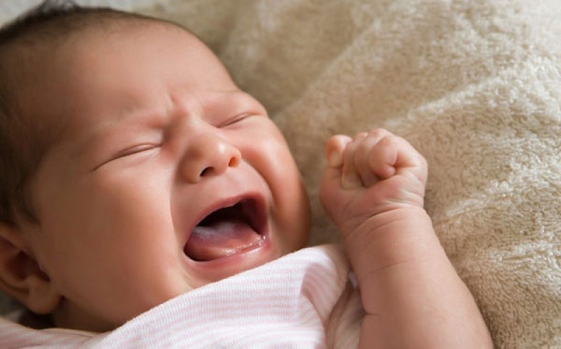 Tiếng khóc ngày mở mắt chào đời!