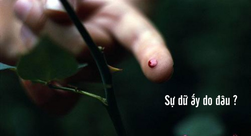 Khổ đau trên đời do đâu?