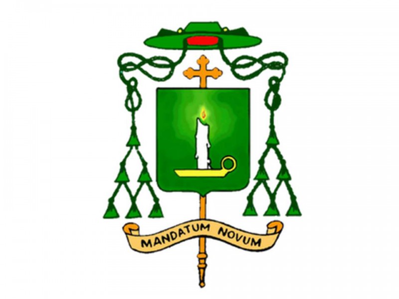 Hạt lúa Tin Mừng
