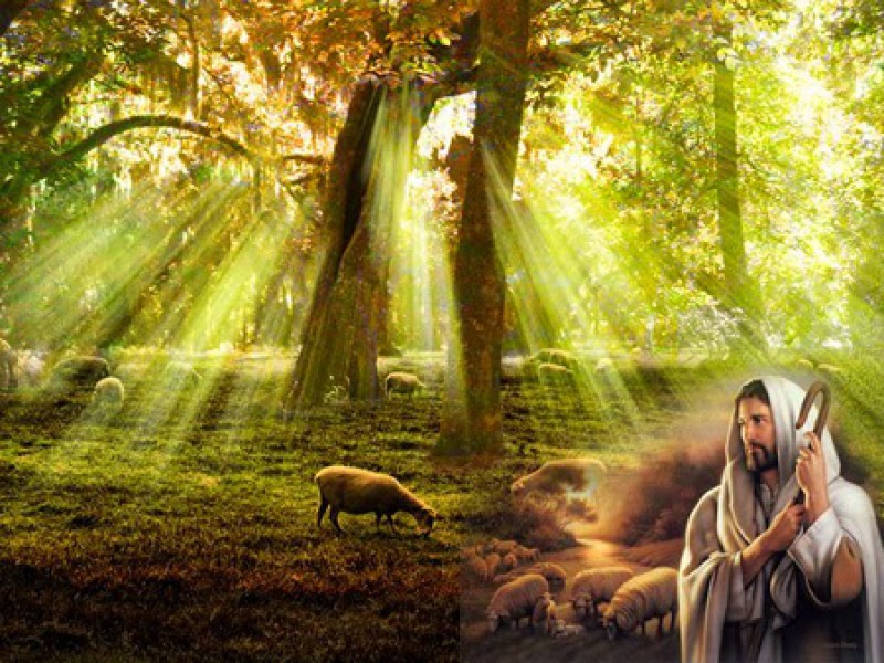 Niềm vui của một người mục tử