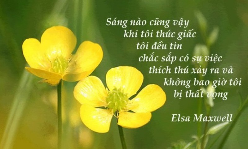 Ngày hạnh phúc nhất đời!