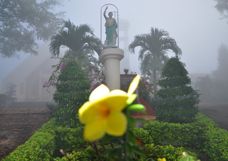 Vinh Hương - "Trời cao đã đổ sương xuống"