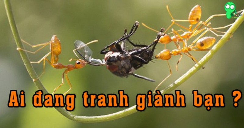 Khi cuộc sống thiếu con tim