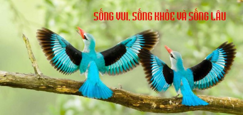 Sống vui, sống khỏe và sống lâu