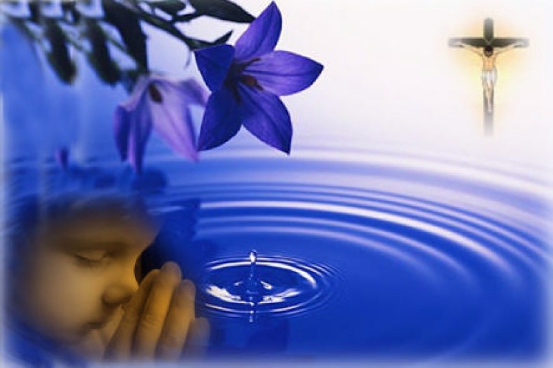 Ăn chậm lại, ngủ ít đi và thinh lặng nhiều hơn