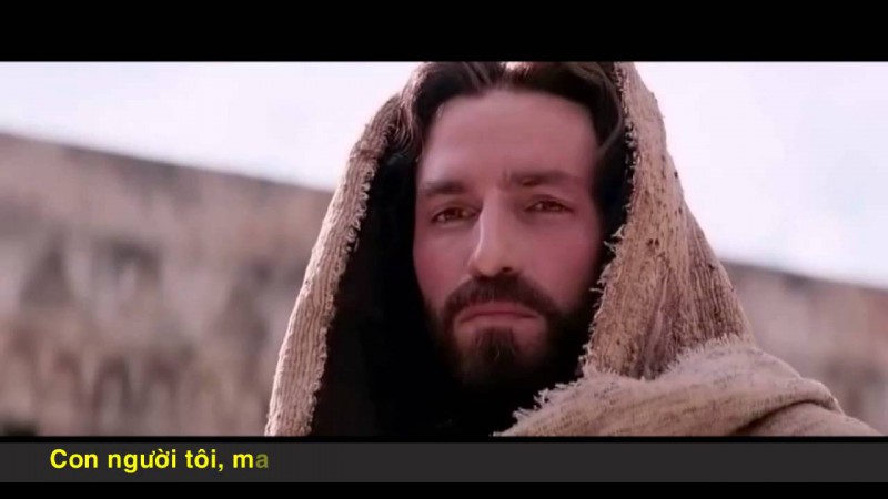 Sống trọn kiếp người