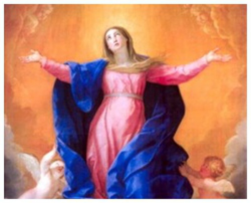 Thư gửi Mẹ lên trời (15/08)!