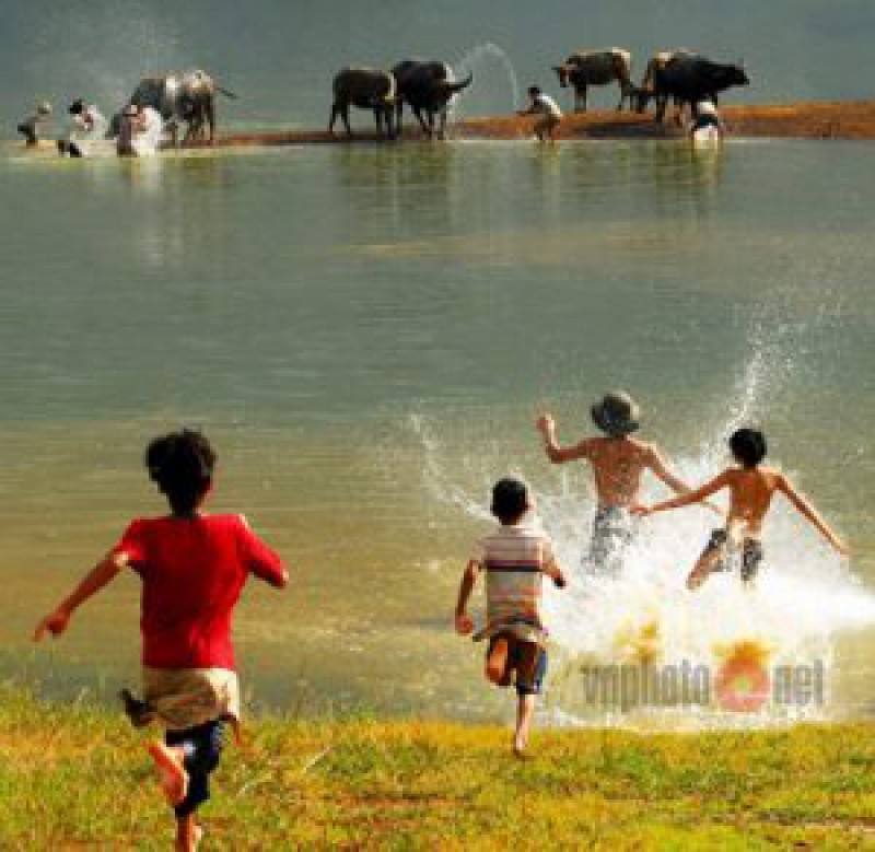 Giá trị của nỗi hoài niệm